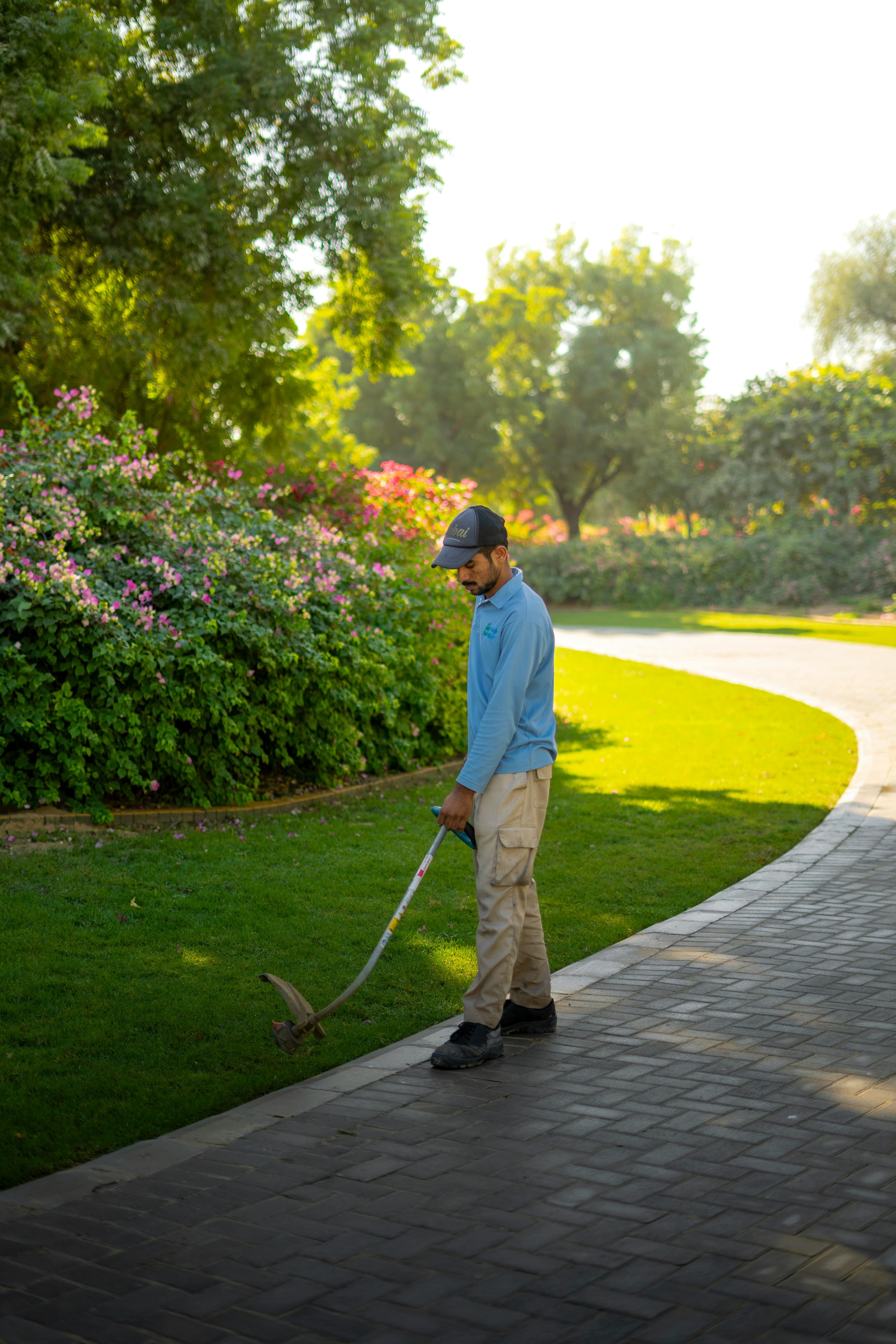 Sod Installation
